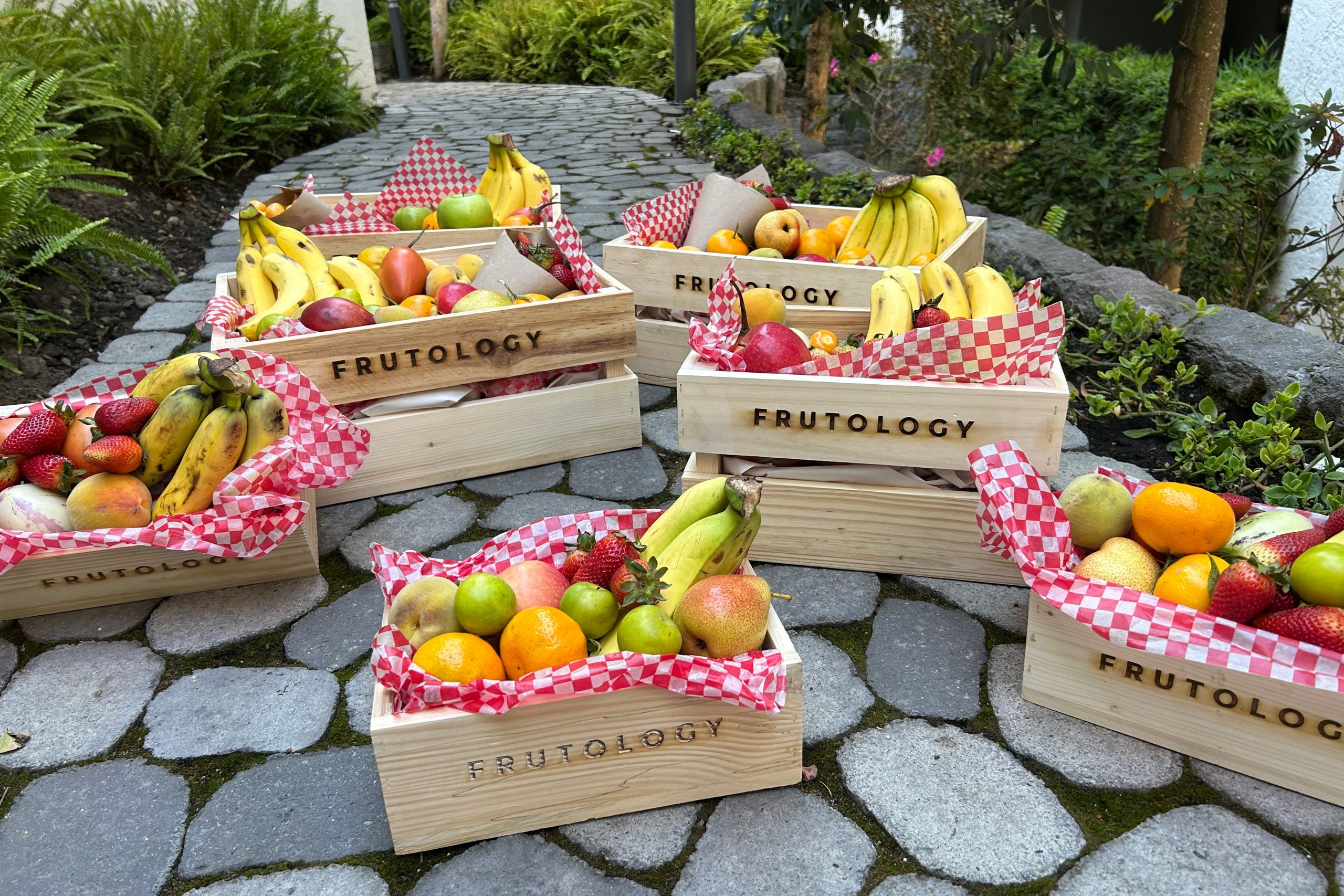 Frutas en la oficina: cómo un snack natural puede transformar tu día