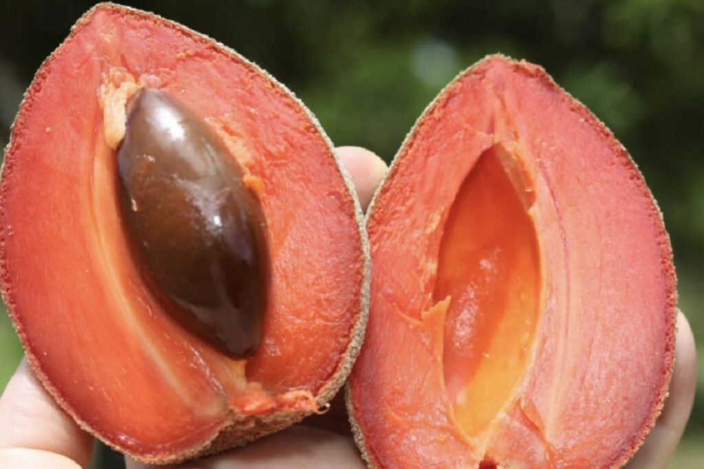 Mamey ecuatoriano